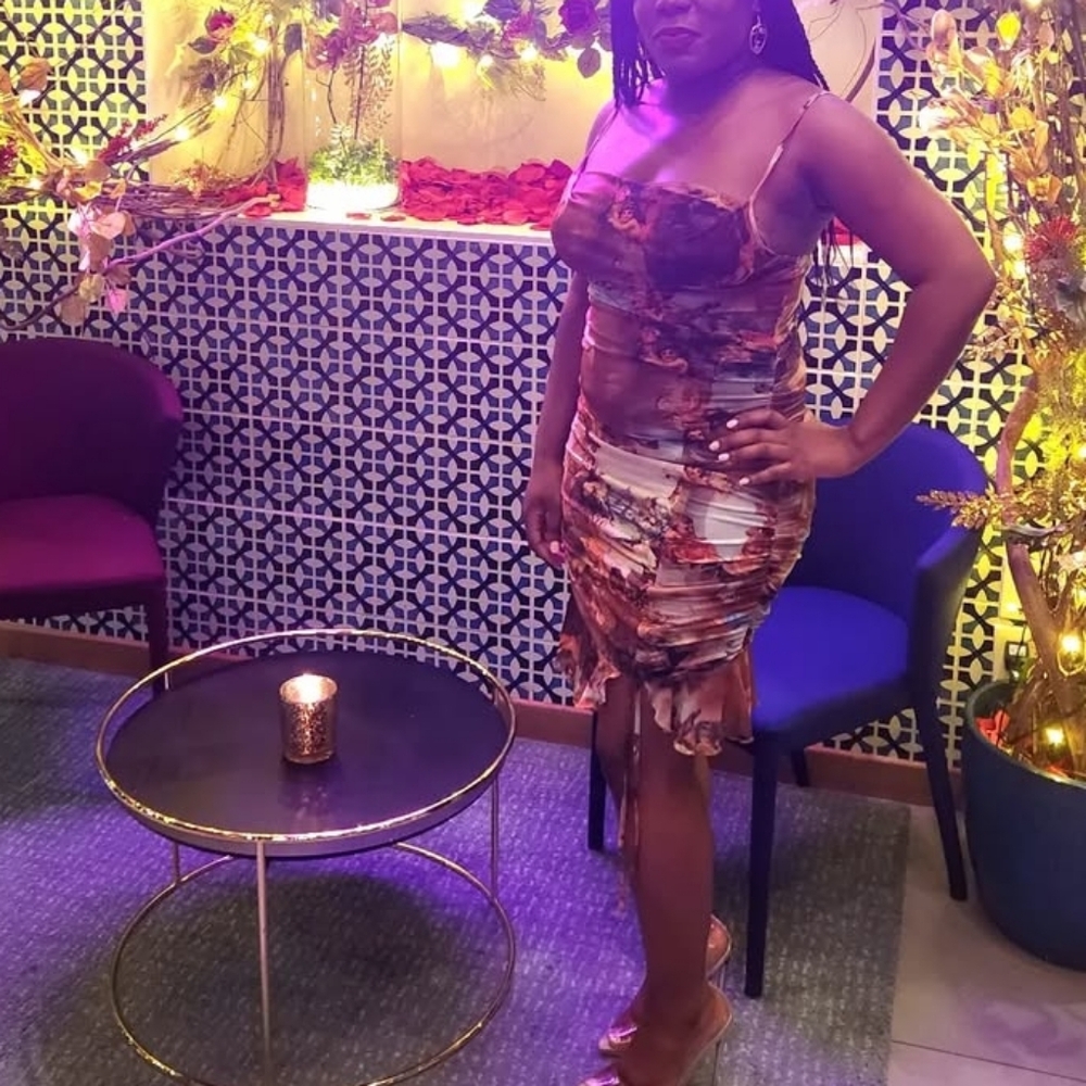 SHEIN Renaissance Dress - Picture 3 of 3